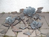 Steel Roses
